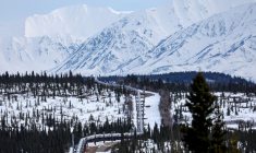 Le projet de nouveau gazoduc emprunterait pour partie le chemin du gazoduc déjà construit entre les champs du grand nord de l'Alaska et le port de Valdez (illustration) ( GETTY IMAGES NORTH AMERICA / MARIO TAMA )
