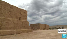 La guerre en Ukraine perturbe les exportations en Afrique du Sud, et impacte les revenus des locaux