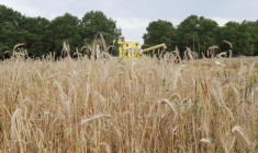 ( AFP / JACQUES DEMARTHON )