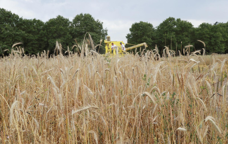 ( AFP / JACQUES DEMARTHON )