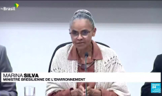La déforestation de l'Amazonie au Brésil a baissé d'un tiers au premier semestre