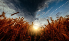 (Crédits photo : Unsplash - Tom Hauk )