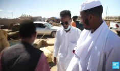 En Mauritanie, la ruée vers l'or dans le désert du Sahara