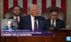 "Les transferts d'argent des diasporas sont vitaux en Afrique"