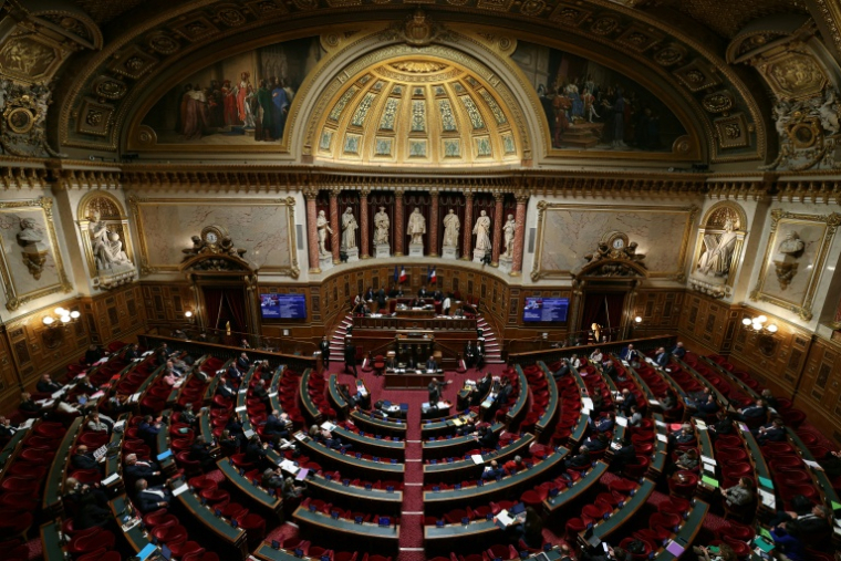 L'hémicycle du Sénat, à Paris, le 27 octobre 2026 ( AFP / Thomas SAMSON )