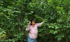 Pema Dema, une agricultrice bhoutanaise de 59 ans, récolte des noisettes sur sa propriété, le 29 août 2026 à Thimphou  ( AFP / Niharika KULKARNI )