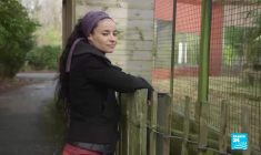 Animaux de cirque : la vie d'après