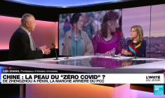 Lun Zhang, sinologue : "Le désir de liberté l'emportera un jour en Chine"