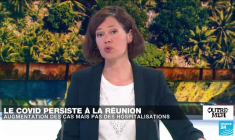 Guyane : l'Amazonie, un réservoir de biodiversité à préserver
