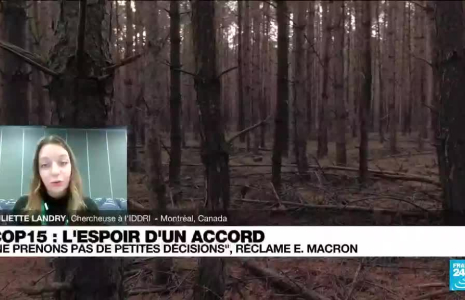 COP 15 : "c’est une des conventions qui a le plus de pays réunis"