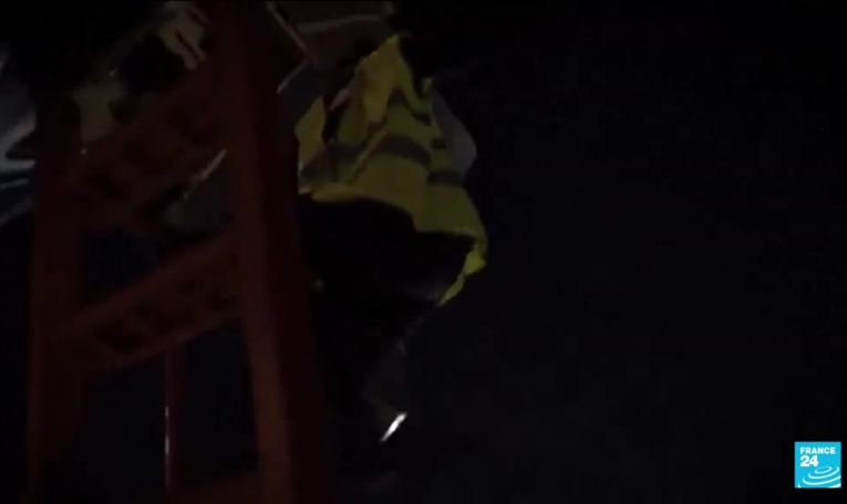 Deux bélugas transférés d'Ukraine en Espagne