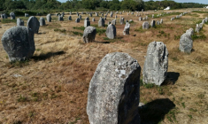 Vue générale le 4 juillet 2025 de l'alignement des mégalithes de Carnac (ouest) qui viennent d'être classés au patrimoine mondial par l'Unesco ( AFP / Damien MEYER )