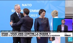 Sommet à Vilnius dominé par l'Ukraine. Tous unis contre la Russie ?