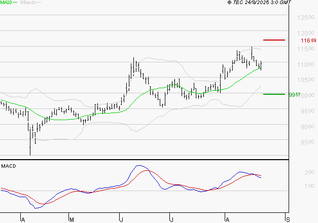 ALTAREA : La situation technique est plutôt incertaine