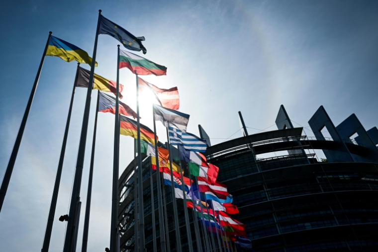 Le parlement européen à Strasbourg ( AFP / Jean-Christophe VERHAEGEN )