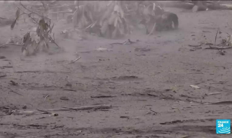 Éruption du volcan Semeru : au moins 14 morts et des dizaines de blessés