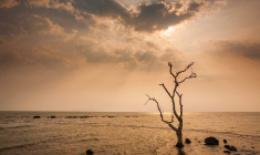 (Crédits photo : Adobe Stock -  )