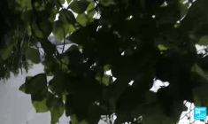 À la découverte des sites des JO-2024 : le GR 75, un parcours olympique en plein Paris