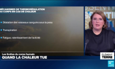Quand la chaleur tue: les limites du corps humain