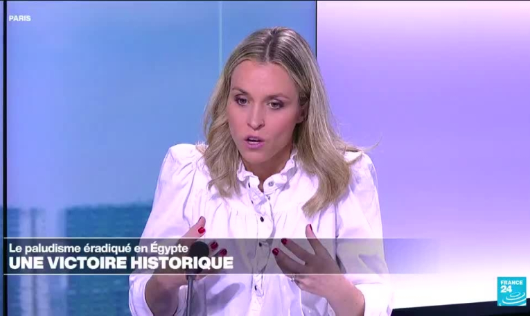 Comment l'Egypte a-t-elle éradiqué le paludisme après un siècle d'effort ?