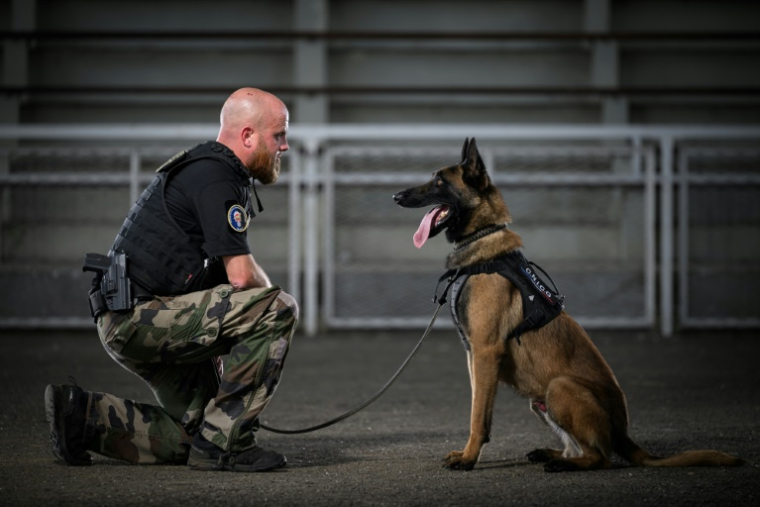 Un gendarme avec un chien policier au Centre National d'Instruction Cynophile de la Gendarmerie à Gramat, le 14 mai 2025 dans le Lot ( AFP / Lionel BONAVENTURE )