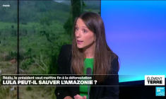 Lula réélu au Brésil : une bonne nouvelle pour l'environnement ?