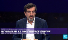 Biopiraterie et biocommerce éthique : les savoirs spoliés des communautés autochtones