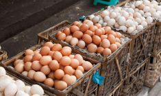 Diversifier est la clé pour diminuer les risques des marchés financiers ( crédit photo : GettyImages )