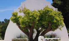 Posez vos valises dans la villa paradisiaque du prince Louis-Albert De Broglie crédit photo : Capture d’écran Instagram @atelierprincejardinier