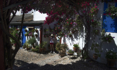 Un patio à Cordoue, en Espagne, le 15 mai 2021, lors du festival des patios cordouans ( AFP / CRISTINA QUICLER )