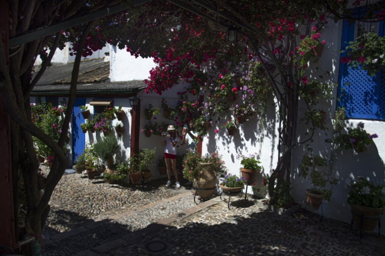 Un patio à Cordoue, en Espagne, le 15 mai 2021, lors du festival des patios cordouans ( AFP / CRISTINA QUICLER )
