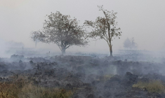 Incendie dans l'est de la Belgique, le 15 août 2026 ( BELGA / LAURENT CAVENATI )