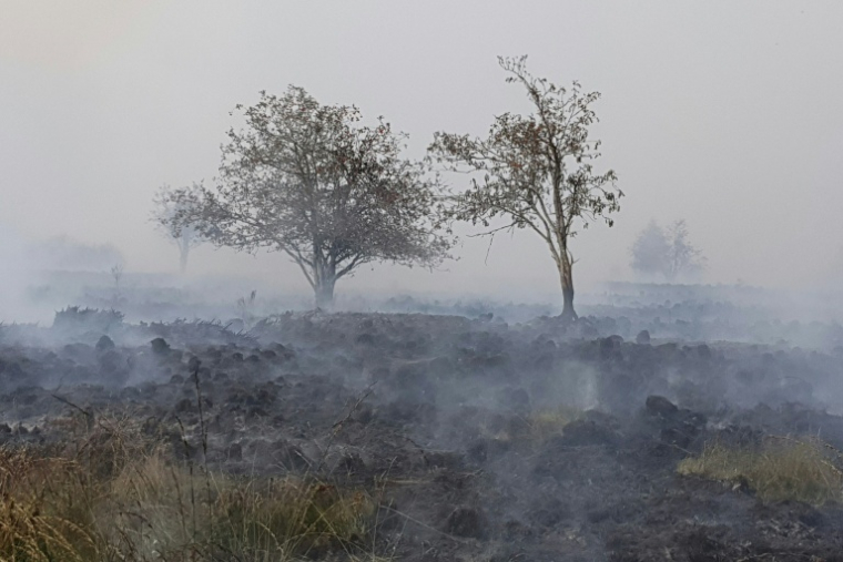 Incendie dans l'est de la Belgique, le 15 août 2026 ( BELGA / LAURENT CAVENATI )
