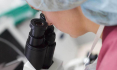 La probabilité de réussite de l'essai clinique de phase III sur Elafibranor est évaluée, selon les analystes, à 50%. (© DR)