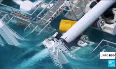 L'euro chute au plus bas depuis près de 20 ans face au dollar