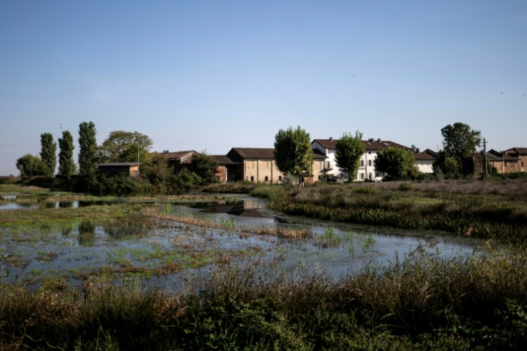 La ferme d'Alice Cerutti et les zones humides qui l'entourent à Crova, en Italie, le 28 septembre 2026 ( AFP / Marco BERTORELLO )