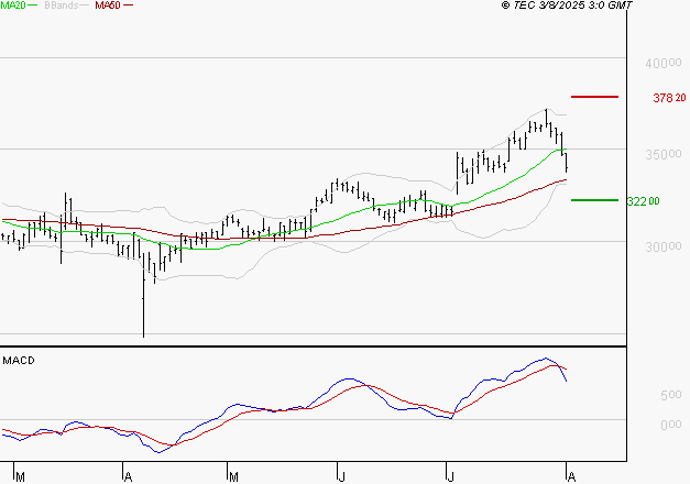 VIRBAC SA : Une consolidation vers les supports est probable