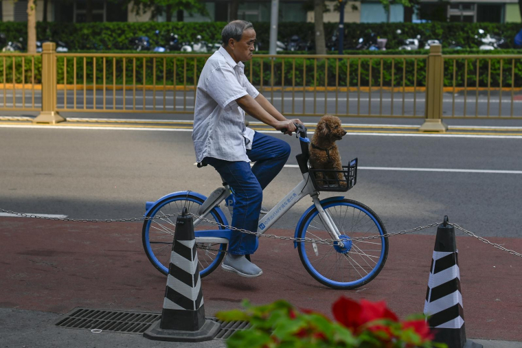 Vélo Hello ( AFP / WANG Zhao )