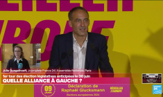 Législatives anticipées en France : "Cela va être très compliqué pour la gauche de s'organiser"