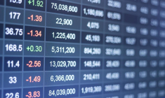 GotziLA STOCK/Shutterstock / GotziLA STOCK