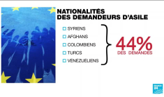 Les demandes d'alise en hausse : + 28 % en Europe en 2023