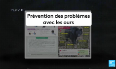 Nos nouveaux voisins : les animaux sauvages à l'assaut des villes