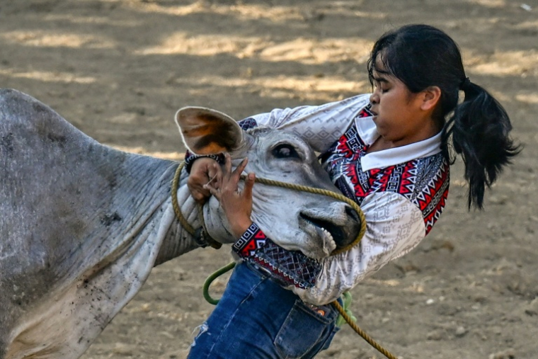 Une participante à la compétition de rodéo organisée dans la province philippine de Mascate, le 13 avril 2026  ( AFP / Jam STA ROSA )