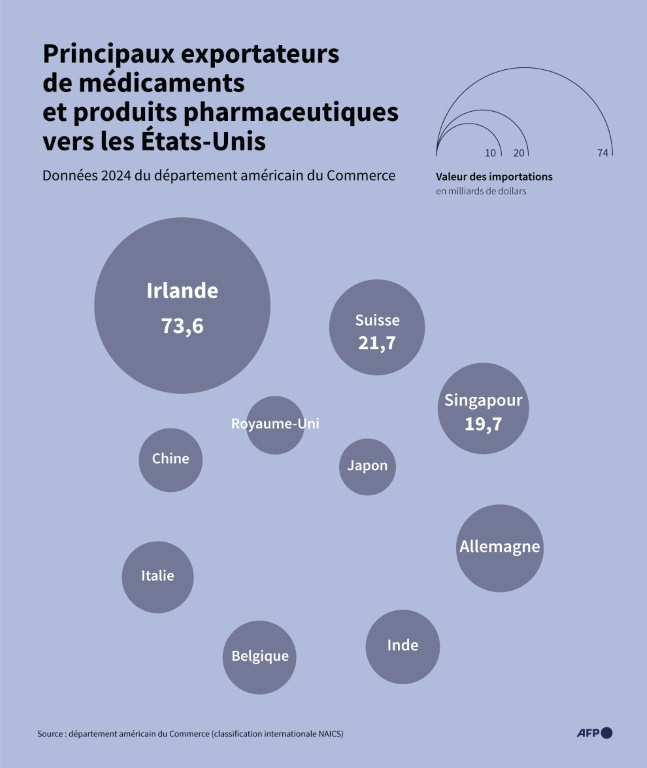 Top 10 des pays exportateurs de produits pharmaceutiques et de médicaments vers les Etats-Unis en valeur en 2024, d'après le département américain du Commerce ( AFP / Jean-Michel CORNU )