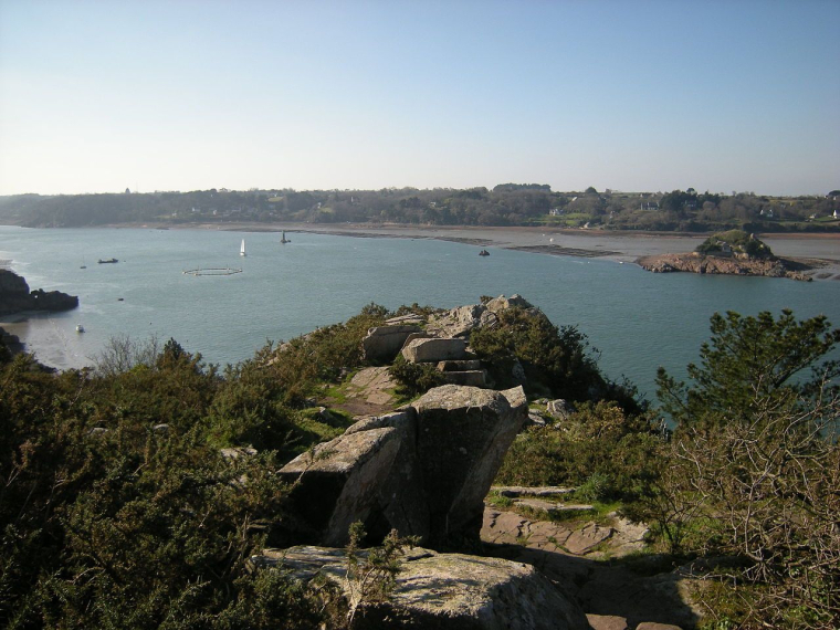 (Crédits photo : Wikimedia Commons - Barbetorte )