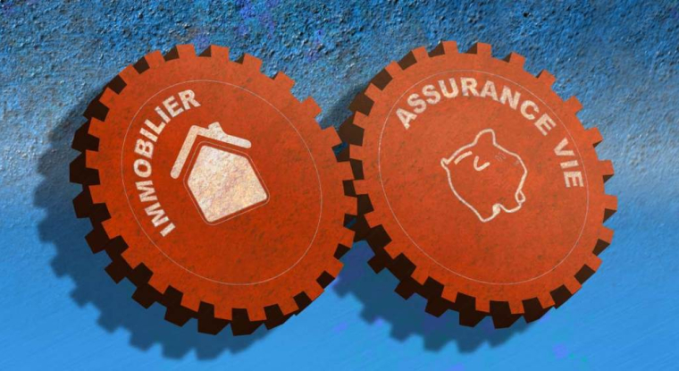 L'assurance vie permet d'investir dans l'immobilier mais des précautions sont à prendre avant de se lancer. (© DR)