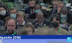 La COP15 adopte un accord historique pour enrayer la destruction de la biodiversité