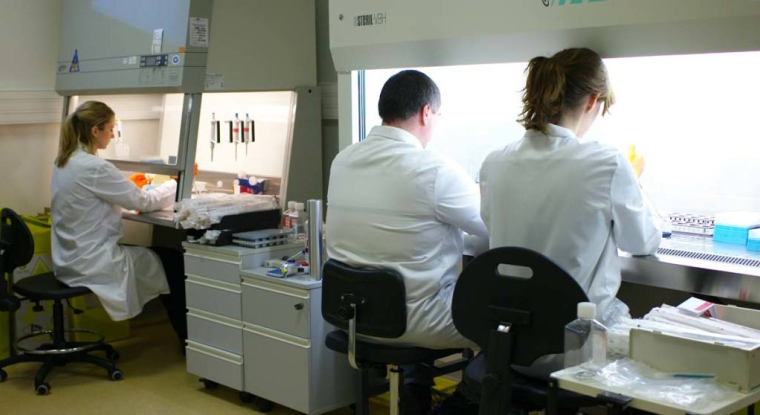 Depuis le 1er janvier, l'action Neovacs a chuté de plus de 29%. (© Neovacs)