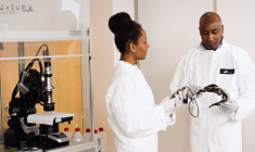 Pixium Vision est une medtech spécialisée en ophtalmologie. (© Pixium Vision)