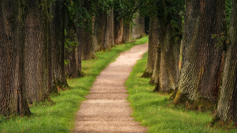 (Crédits photo : Unsplash - Johannes Plenio )